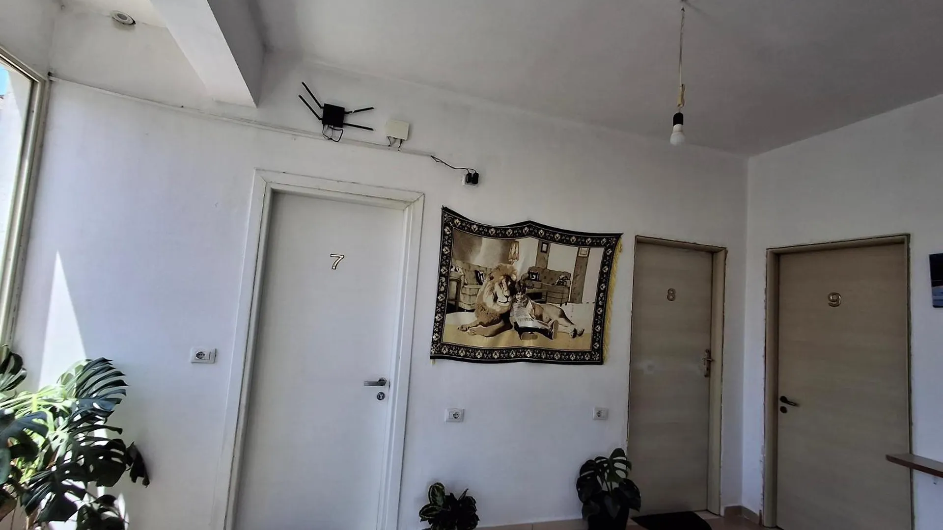 Holiday Rooms Vlorë Penzion